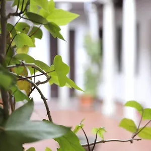 Apartment Adanar-las Columnas